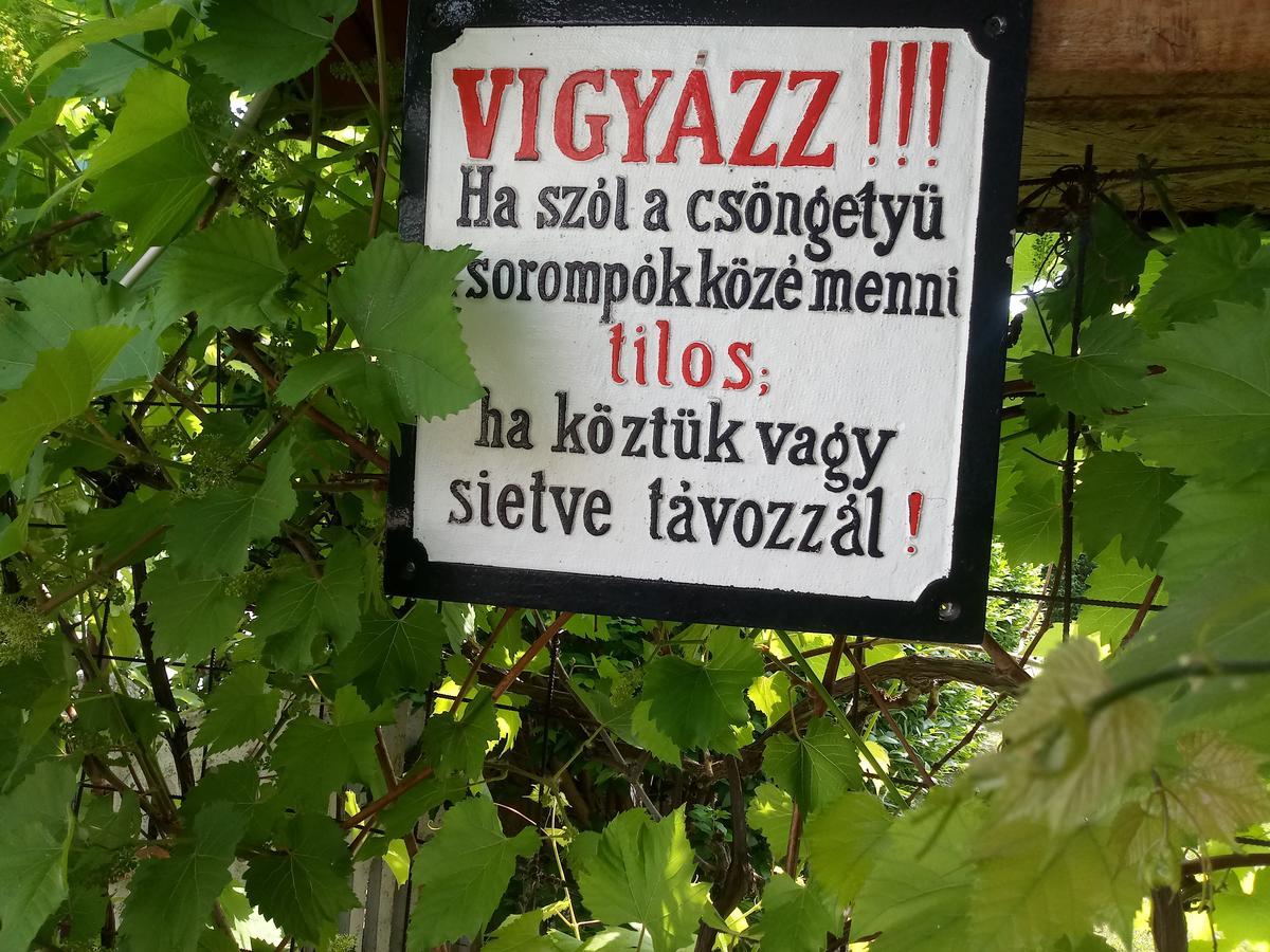 Sorompo Vendeghaz Hotel Balatonkenese Buitenkant foto